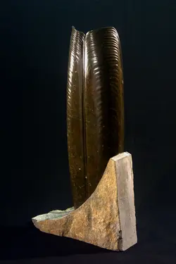 ST02_RAZOR_08084