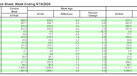 What is this? A draw for ants? (6/20/2024 EIA Report)