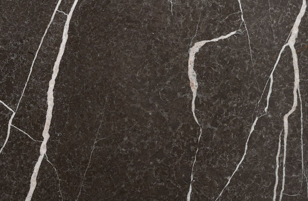 e1f3acca394dc4c763942feffc4ff323 (15)