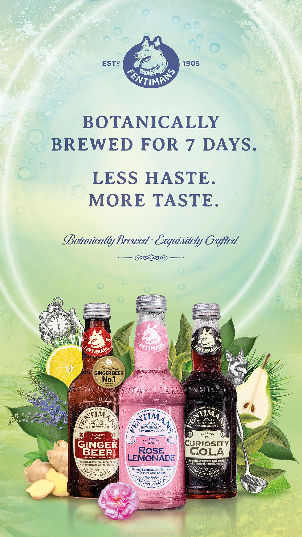 Fentimans Digital 6 Sheets