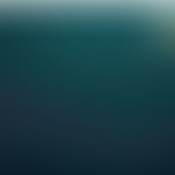 The Reserve Bank holds the OCR at 2.25%