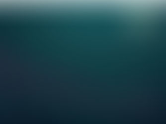 The Reserve Bank holds the OCR at 2.25%