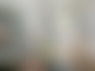 What starts as a simple pet request can quickly change how a rental property is used day to day.