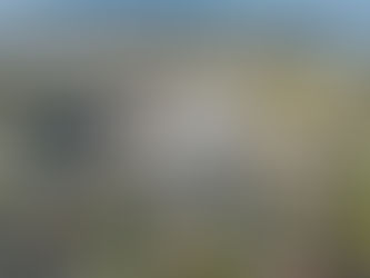 Housing is significant in New Zealand, but it's not the whole economy.