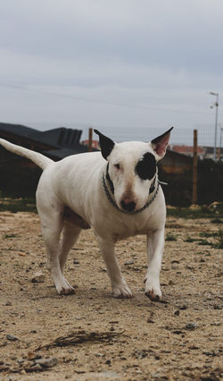 52e040b7-ada1-46b9-b55f-4efde9bbb8b1