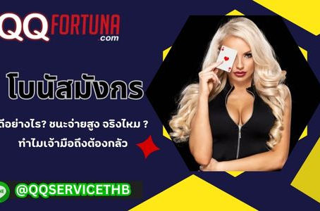 โบนัสมังกร ดีอย่างไร ชนะจ่ายสูงจริงไหม ทำไมเจ้ามือถึงต้องกลัว 