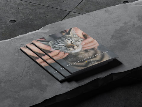 Pet Lifetime of Care Look Book