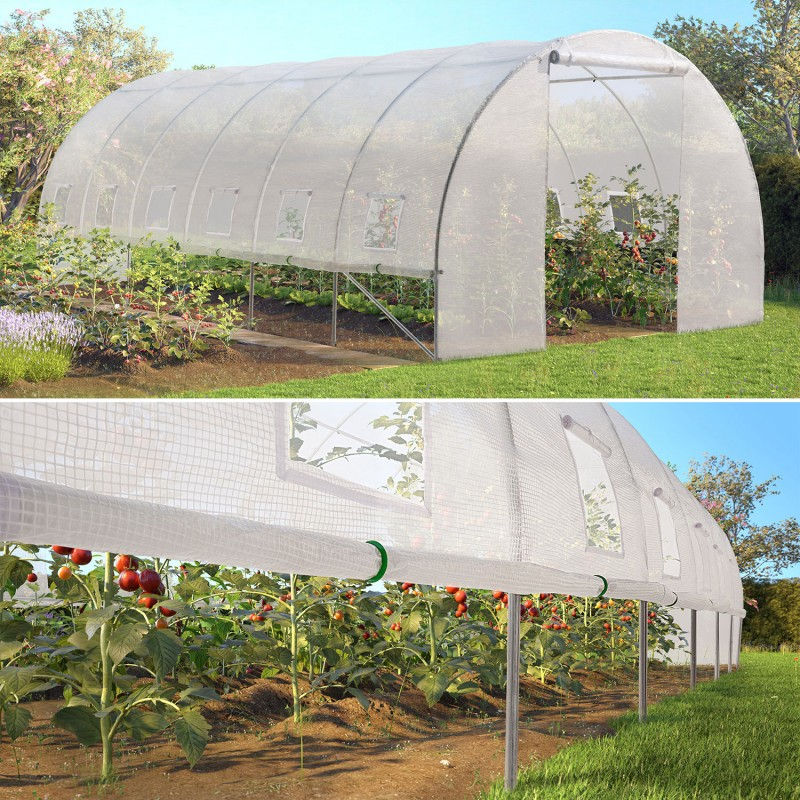 Miniature : Serre de Jardin Tunnel 18m²