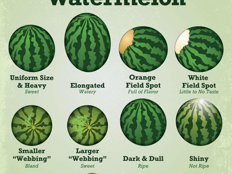 How to pick a watermelon