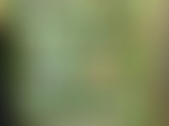 16.03.18 Neue Streitschlichter im Einsatz!