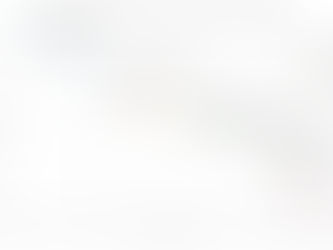 The Battle for Semiconductor Supremacy: Why Intel's High-NA Bet is critical for the US. 