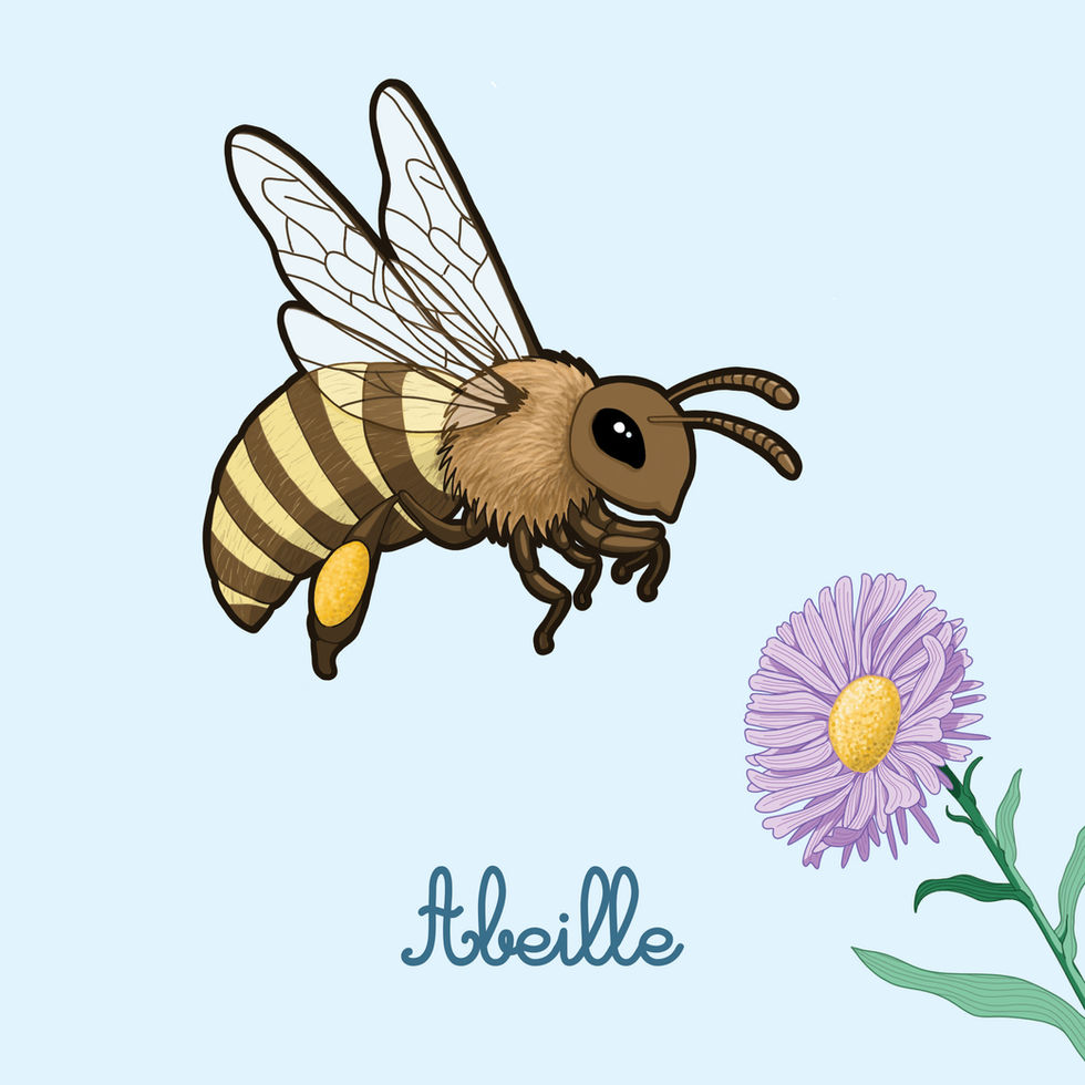 Illustration jeunesse - imagier Le jardin une abeille
