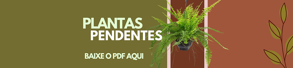 Banner capa de catálogo de plantas pendentes da Floricultura A Varanda