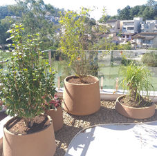 20200526_111657 (1).jpg