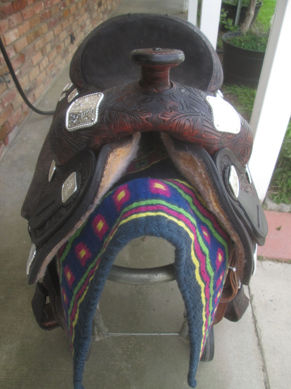 Thumbnail: 16.5" Alamo Show Saddle, New Antique oil & New Silver - super nice
