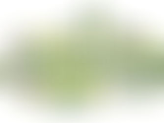 Sklerodermie und Probiotika