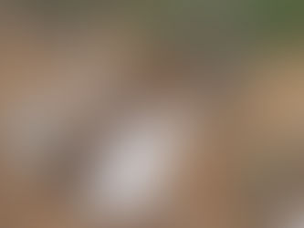 CAJAS DE CONTROL VÁLVULAS, BYPASS , ZANJAS PARA TUBERÍA, TAPAS CLARABOYA Y REPELLO.