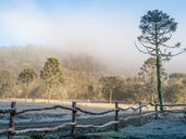 SOLSTÍCIO DE INVERNO e suas Energias
