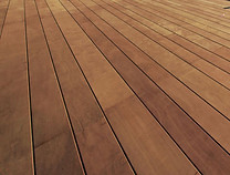 AST1135185-XL.jpg