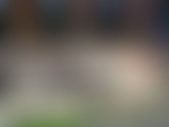 الأمينُ العام لرابطة العالم الإسلامي يشهدُ احتفاليةَ بلوغ عشرةِ ملايين زائرٍ في فرع متحف السيرة النبوية بالرباط