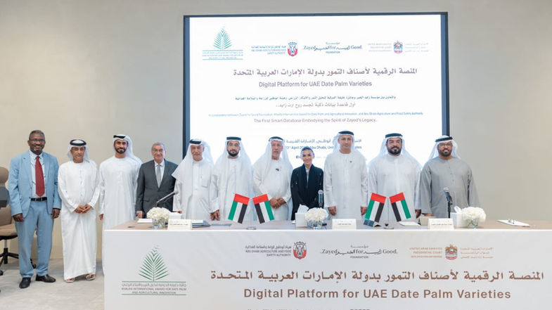 منصة رقمية ذكية توثق أصناف التمور وتعزز الابتكار الزراعي في الإمارات