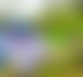 استكشف جمال الطبيعة في محافظة المندق