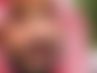 المركز الثقافي للتراث العربي الفرنسي يختار الامير محمد بن سلمان شخصية العام لافضل شخصية عربية مؤثرة