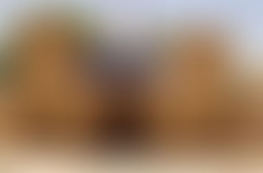 المغرب.. شعبة الدراسات الإسلامية بالرشيدية تطلق ماسترًا مبتكرًا لتعزيز قدرات العمل الاجتماعي