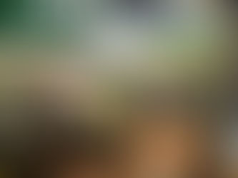 قهوة ومطعم هارون .. نكهة شرقية وأجواء مونديالية في قلب دبي