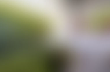 افتتاح المرحلة الأولى لأكبر مصنع لإنتاج الأعلاف الحيوانية والأحياء المائية في سلطنة عُمان