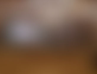 الإمارات تقود تحالفاً دولياً لمكافحة سوسة النخيل وتعزيز الأمن الغذائي العالمي