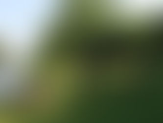 Poyrazlar Gölü Tabiat Parkı | Adapazarı’nda Doğayla Baş Başa Bir Kamp Deneyimi