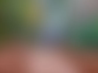 Aydınpınar Şelaleleri Tabiat Parkı Kamp Yeri – Düzce’nin Saklı Cenneti