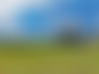 Bolu Sinekli Yaylası: Ormanın Kalbinde Sessiz Bir Kamp Deneyimi