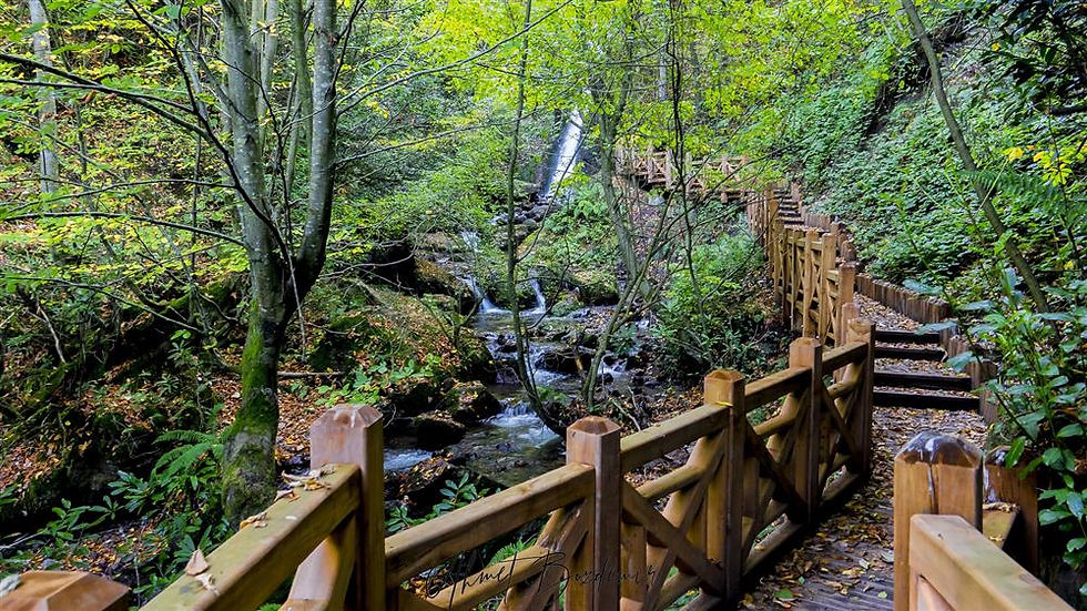 Kamporman-duzce-aydınpinar-selalesi