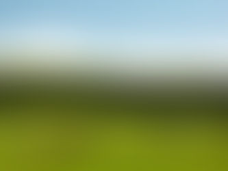 Bolu At Yaylası Kamp Alanı: Şehre Yakın, Doğaya Uzak Olmayan Huzurlu Bir Kaçamak