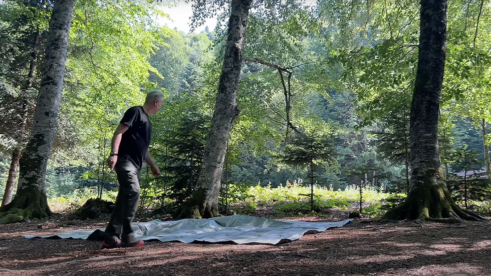 Yedigöller - Ayıkayası - Tabiat Parkı