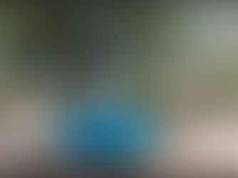 🌲 Muğla Ekincik Kamp Yerleri | Muğla’da Doğanın Kucağında Kamp Deneyimi