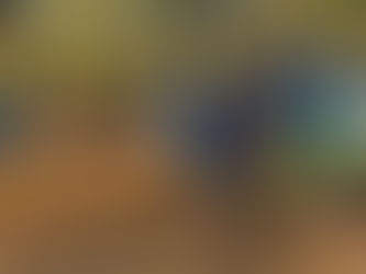 Muğla Akkaya Orman Kampı