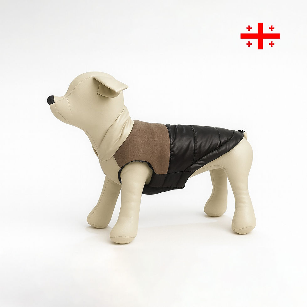 შავი ყავისფერში დუტის ჟილეტი louis vuitton