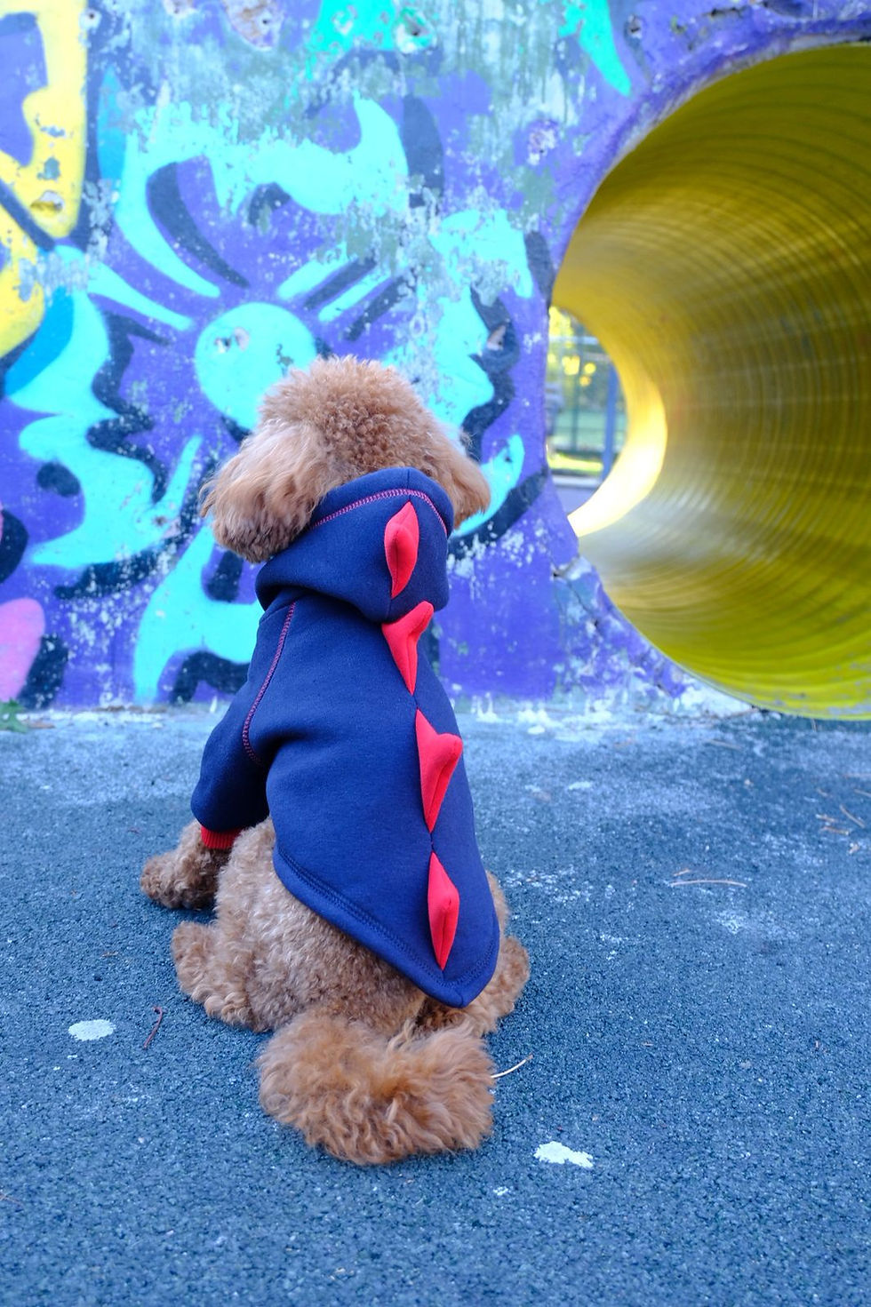 Thumbnail: მუქი ლურჯი, დინოზავრის ჰუდი