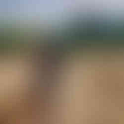 PG Concept : la préparation du site, une étape clé dans la construction d’un pumptrack