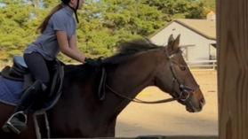 Saddling Up with Watauga’s Equestrians