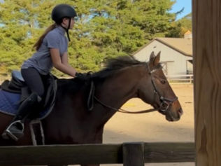 Saddling Up with Watauga’s Equestrians