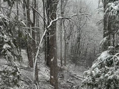 As Temperatures Get Lower So Does Student Productivity