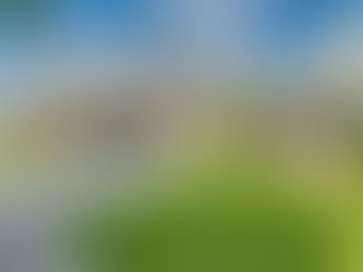 Making a Home for the Holidays