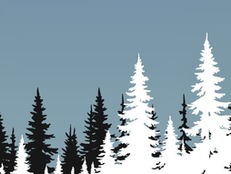 Branching Out: Education in Watauga County