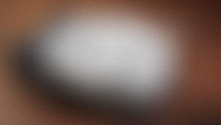 Behind the Scenes with Film Studies