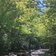 Just Nature- A Poem by Mitch Jasper