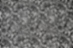 black and white paisley fabric flat